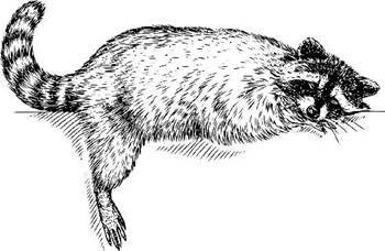 Полукровка (ЛП) - _16.jpg