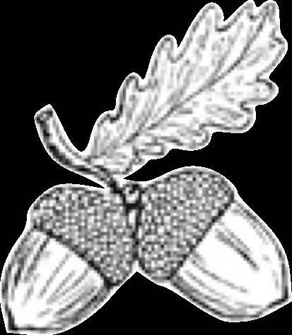 Полукровка (ЛП) - _3.jpg