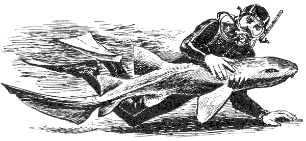 Акулы-людоеды - i_007.png