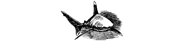 Акулы-людоеды - i_011.png