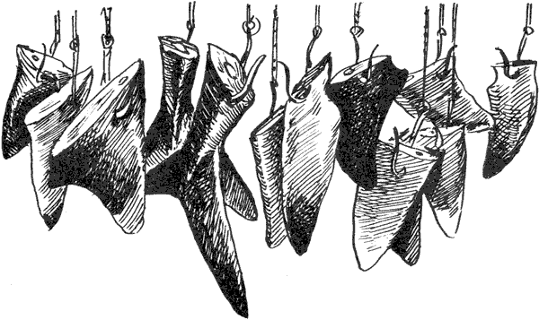 Акулы-людоеды - i_012.png