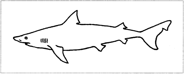 Акулы-людоеды - i_013.png