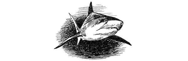 Акулы-людоеды - i_014.png