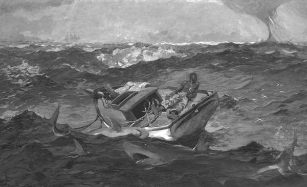 Акулы-людоеды - i_018.jpg