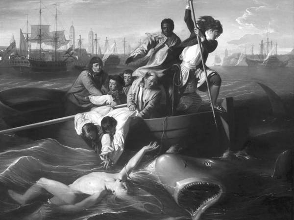 Акулы-людоеды - i_019.jpg