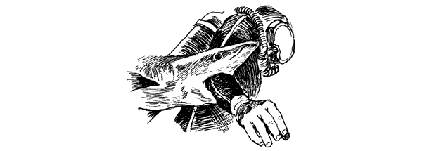 Акулы-людоеды - i_022.png