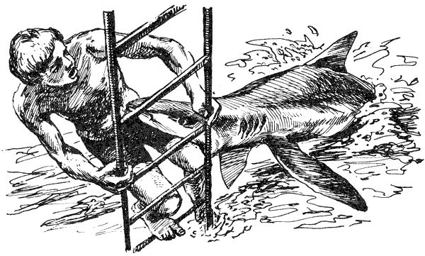 Акулы-людоеды - i_025.png