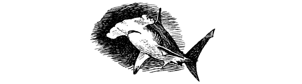 Акулы-людоеды - i_026.png