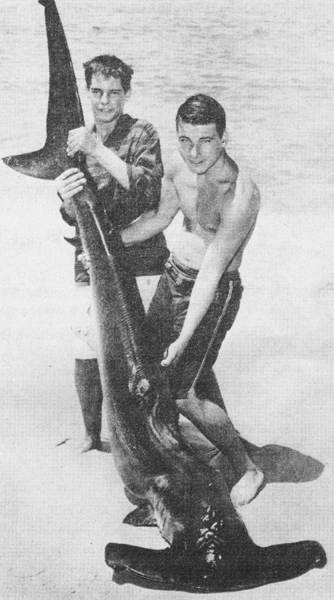 Акулы-людоеды - i_038.jpg