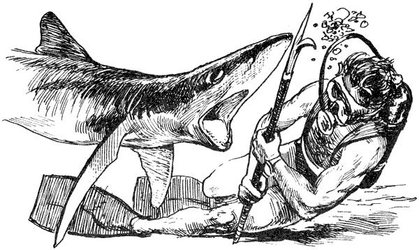 Акулы-людоеды - i_039.png