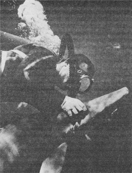 Акулы-людоеды - i_042.jpg