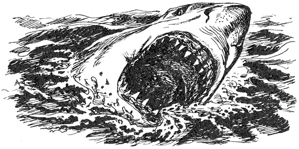 Акулы-людоеды - i_043.png