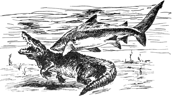 Акулы-людоеды - i_046.png