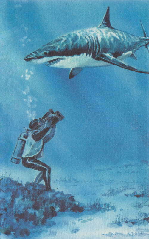 Акулы-людоеды - i_063.jpg