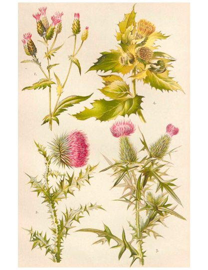 Русская фольклорная демонология - i_046.jpg