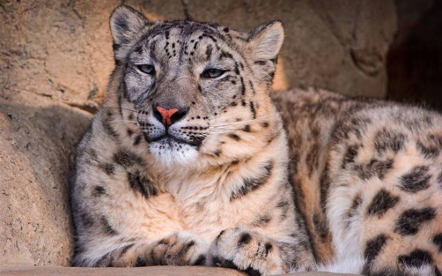 "Фантастика 2024-184". Компиляция. Книги 1-20 (СИ) - i_008.jpg