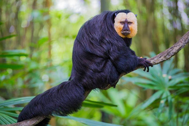 "Фантастика 2024-184". Компиляция. Книги 1-20 (СИ) - i_014.jpg