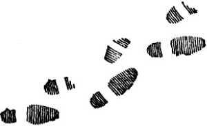 "Фантастика 2024-184". Компиляция. Книги 1-20 (СИ) - i_048.jpg