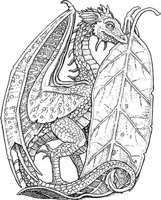 Невероятные создания - i_004.jpg