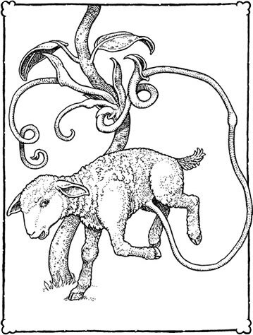 Невероятные создания - i_007.jpg