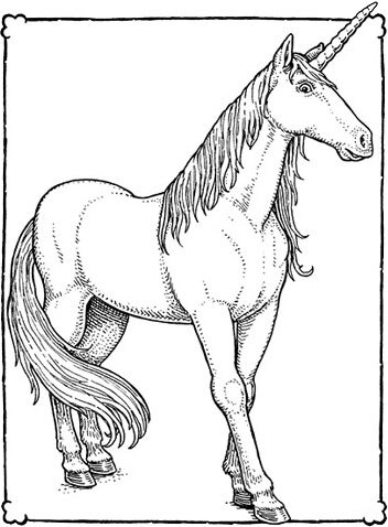 Невероятные создания - i_011.jpg