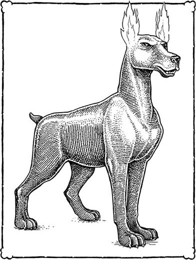 Невероятные создания - i_015.jpg