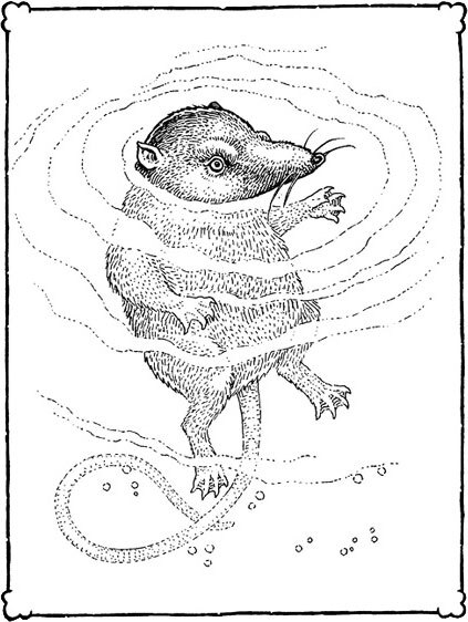 Невероятные создания - i_017.jpg