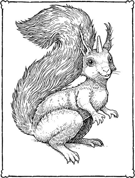 Невероятные создания - i_021.jpg