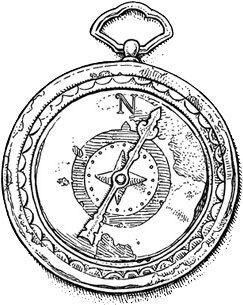 Невероятные создания - i_056.jpg