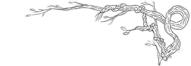 Дочь Темных вод - i_008.jpg