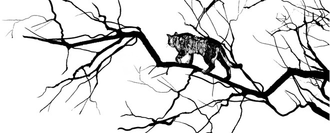 Пока ты видишь меня - i_001.jpg