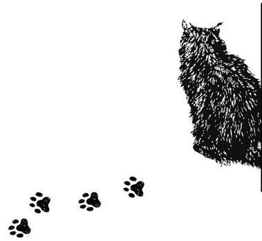 Пока ты видишь меня - i_006.jpg