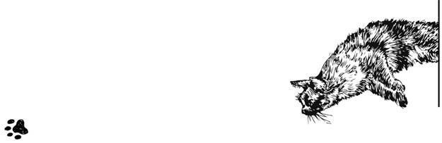 Пока ты видишь меня - i_009.jpg