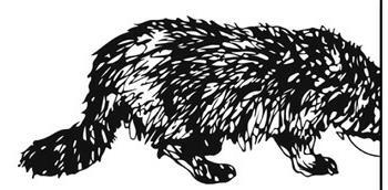 Пока ты видишь меня - i_011.jpg