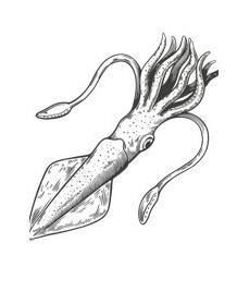 Шепот глубин - i_001.jpg