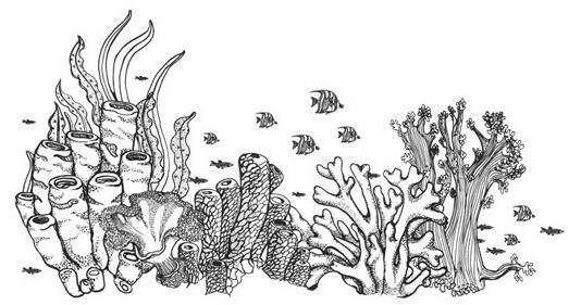 Шепот глубин - i_002.jpg