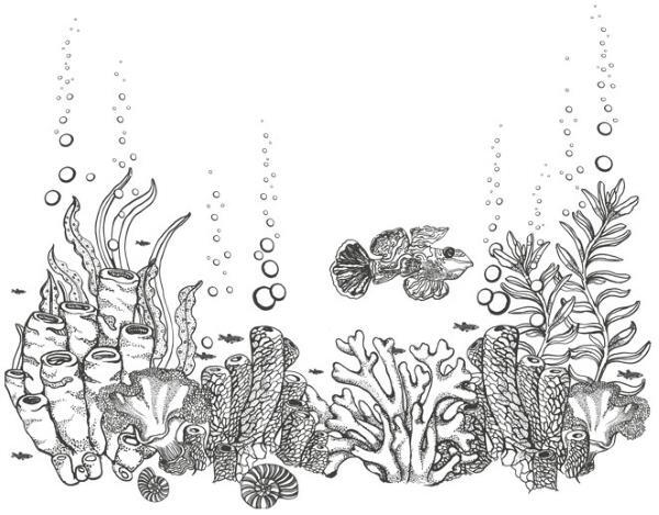 Шепот глубин - i_006.jpg