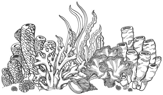 Шепот глубин - i_007.jpg