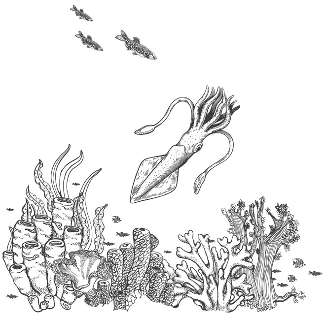 Шепот глубин - i_010.jpg