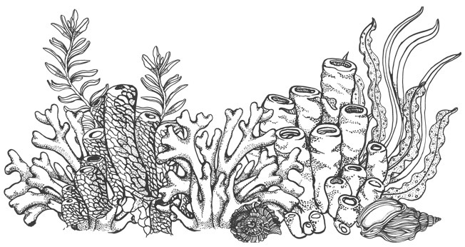 Шепот глубин - i_011.jpg