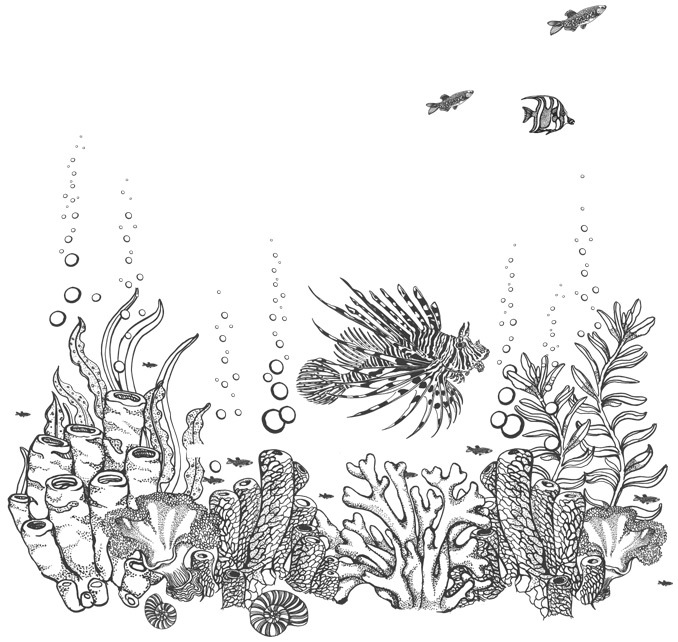 Шепот глубин - i_013.jpg