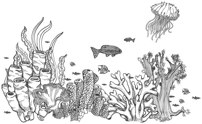 Шепот глубин - i_016.jpg