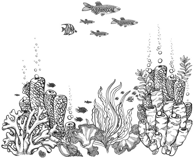 Шепот глубин - i_025.jpg