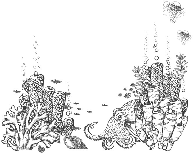 Шепот глубин - i_031.jpg