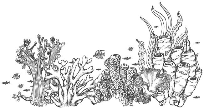 Шепот глубин - i_032.jpg