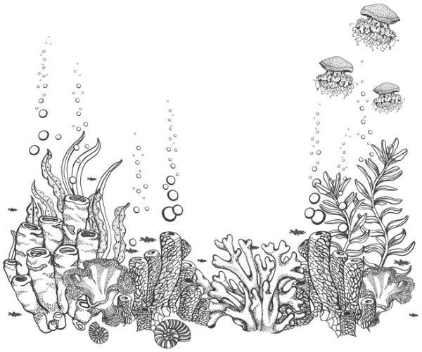 Шепот глубин - i_034.jpg