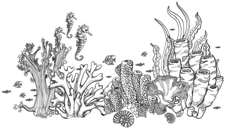 Шепот глубин - i_035.jpg