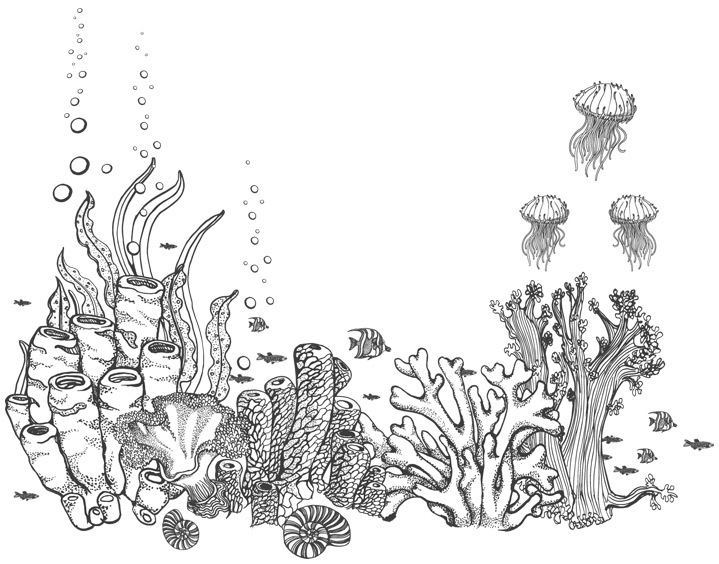 Шепот глубин - i_036.jpg