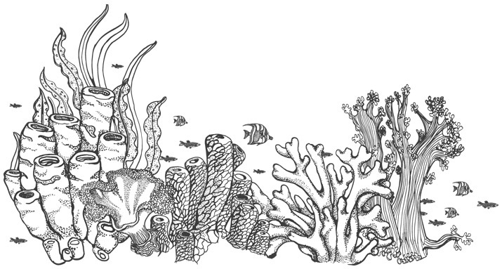 Шепот глубин - i_037.jpg