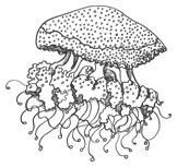 Шепот глубин - i_038.jpg